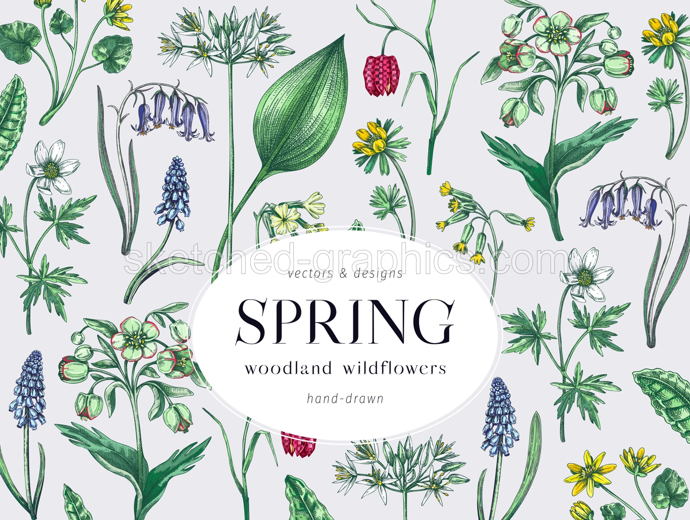 Colorful spring flowers background. Woodland flower, greenery, forest plants sketches. Botanical design in color. Wildflowers frame. Hand-drawn vector illustrations, NOT AI generated Illustration